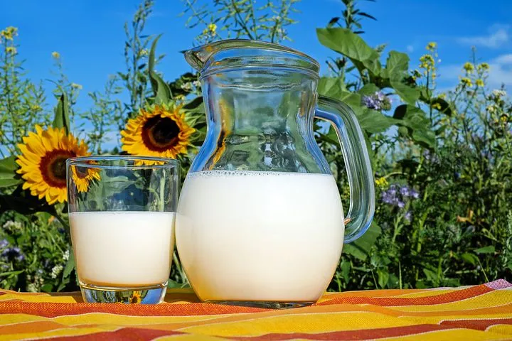 В питьевом молоке из Тверской области нашли кишечную палочку