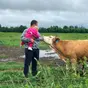 молоко с частной фермы (Айширы/Джерси) в Твери и Тверской области 7